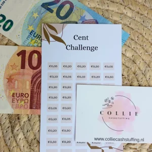 Cent challenge mix Japandi