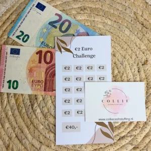 Euro challenge €2 japandi