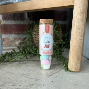 Glazen Buisje met Marshmellows-Voor de liefste juf