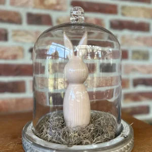 Glazen stolp met Haasje bruin-taupe en Tillandsia