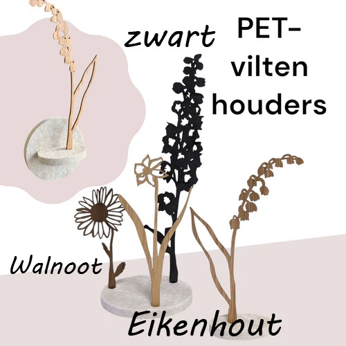 Geboortebloem (zonder houder) November Chrysant - Afbeelding 5