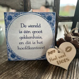 Tegels delfts blauw - Wereld gekkenhuis
