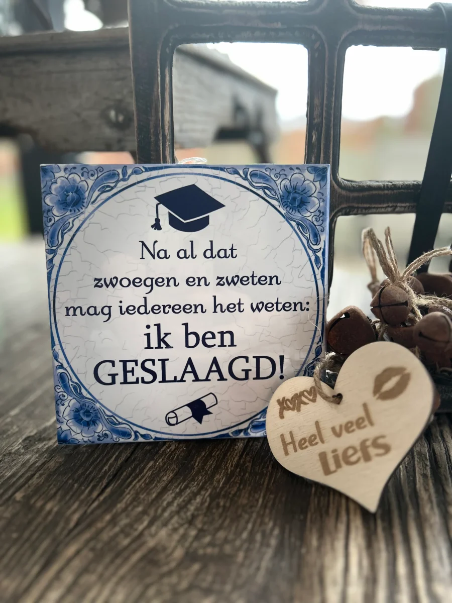 Tegel Delfts Blauw - Zwoegen en zweten/geslaagd